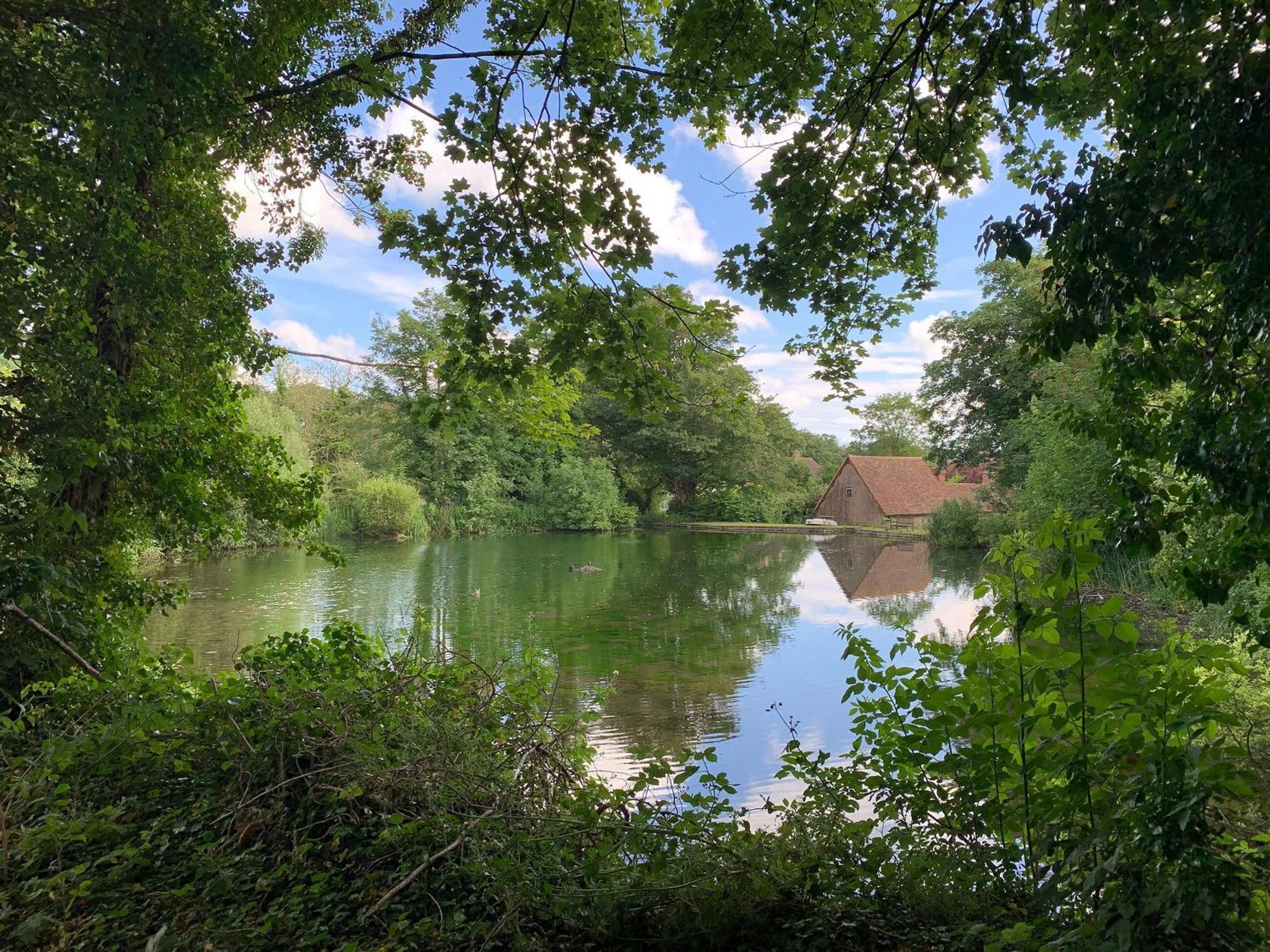 Hollingbourne Moorhen Cottage מראה חיצוני תמונה